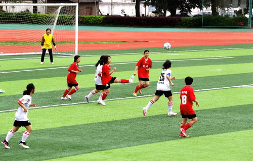 中超：拒绝连败 青岛西海岸队2-0大连英博队