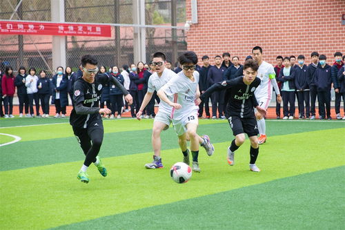纬来体育直播预告 现场画面