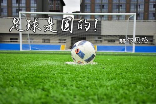 谢晖称本队机会大把配得上胜利 赞科雷亚进球漂亮