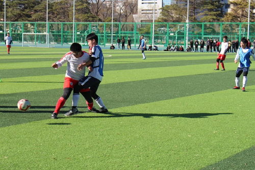 米利唐确定手术，赛季报销+无缘世界杯
