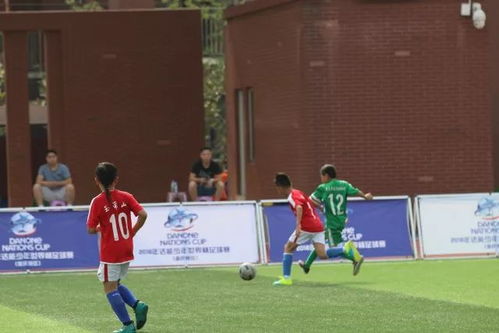 斯基拉：费内巴切准备给恰20提供3+1合同，年薪800万欧+奖金