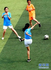蜘蛛直播app下载安装苹果 现场画面